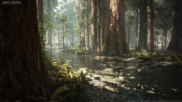 Redwood Forest ue4