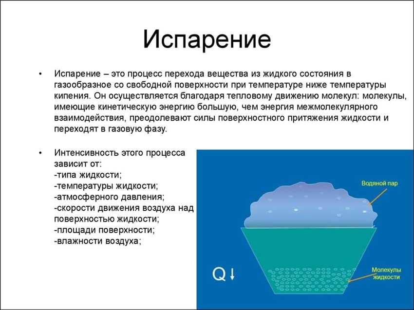 Почему масло испаряется медленнее, чем вода: научное объяснение