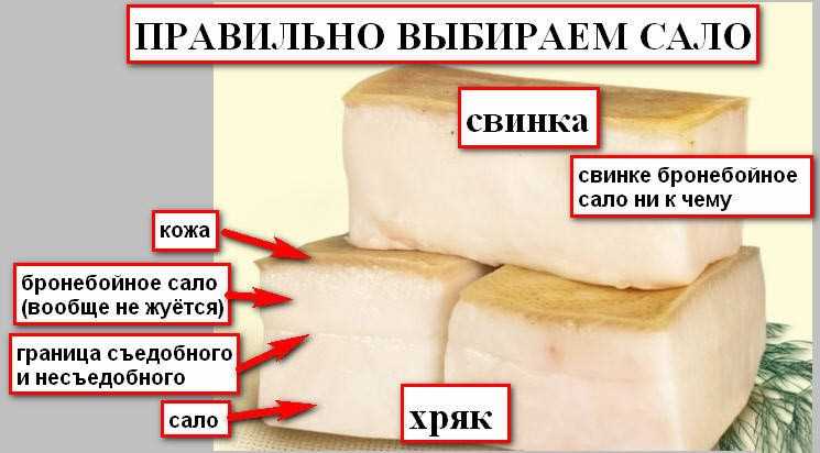 Многие люди замечают, что свиное сало обладает розовым оттенком, а не белым, как другие мясные продукты. Этот необычный цвет вызывает вопросы о причинах и объяснениях.