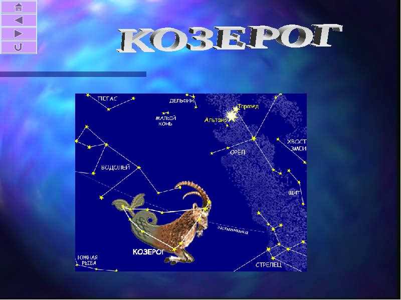 У знака зодиака Козерог есть свой интересный символ - рыбий хвост. Почему он имеет такую необычную форму? Давайте рассмотрим интересные факты и тайны, связанные с этим знаком.